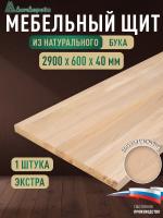Мебельный щит бук кат. Экстра цельный 2900 х 600 х 40