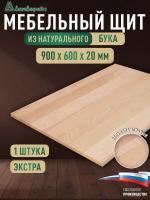 Мебельный щит бук кат. Экстра цельный  900 х 600 х 20